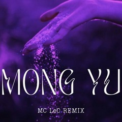 [Free Download] AMEE x MCK MONG YOU (MC LEO RMX)