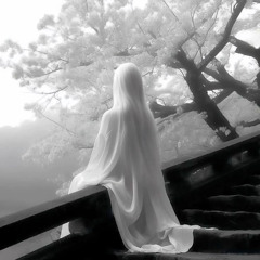 WHAM1900 ft 1900RugRat