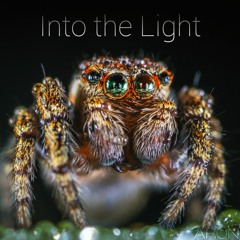 Into the Light