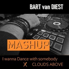 I Wanna Dance with Somebody (MashupMix)