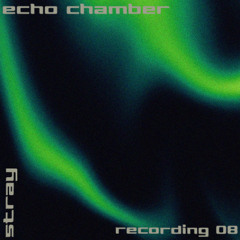 echo chamber - recording 08 - stray