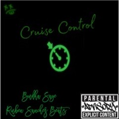 Cruisee Controll