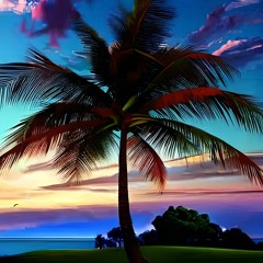 Palm Tree