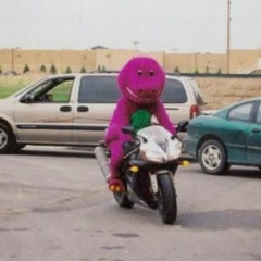 ROLÊ COM O BARNEY