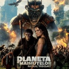 Planeta Maimuțelor: Noul Regat (2024) Film Online Subtitrat! in Română 1080p