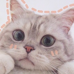 เก็บทรงไม่อยู่