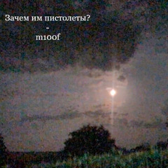 Why do they need pistols?