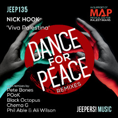 NICK HOOK - 'Viva Palestina' - Liberation Dub - Edit