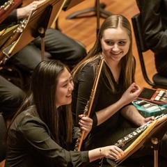 Schumann - Symphony No. 1 "Spring" - iii. Scherzo: Molto vivace