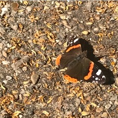 ries | live from 15E1 #005