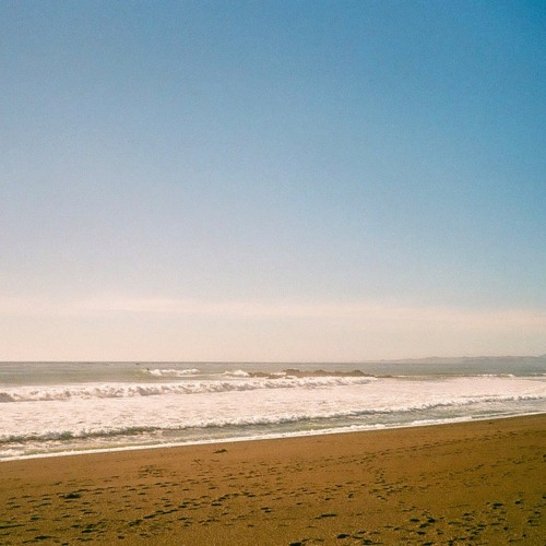 Shoreline Field Notes With Wind [disquiet0632]