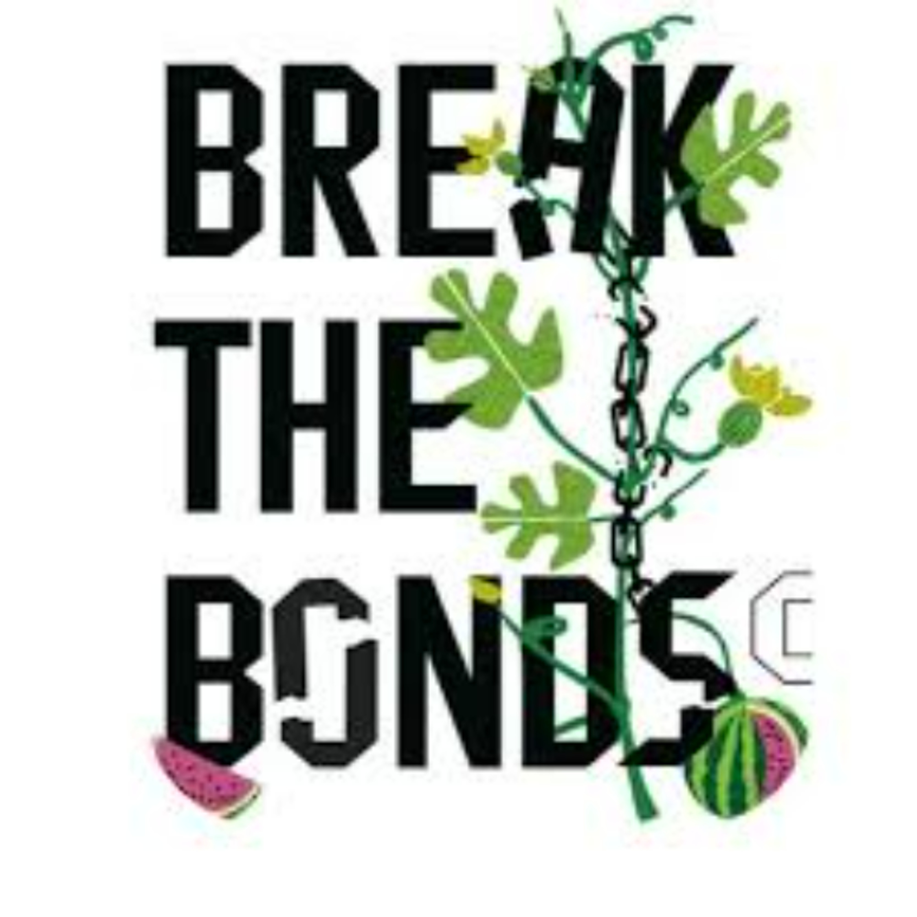 NYS Comptroller Forum with Break the Bonds (Israel) episode artwork