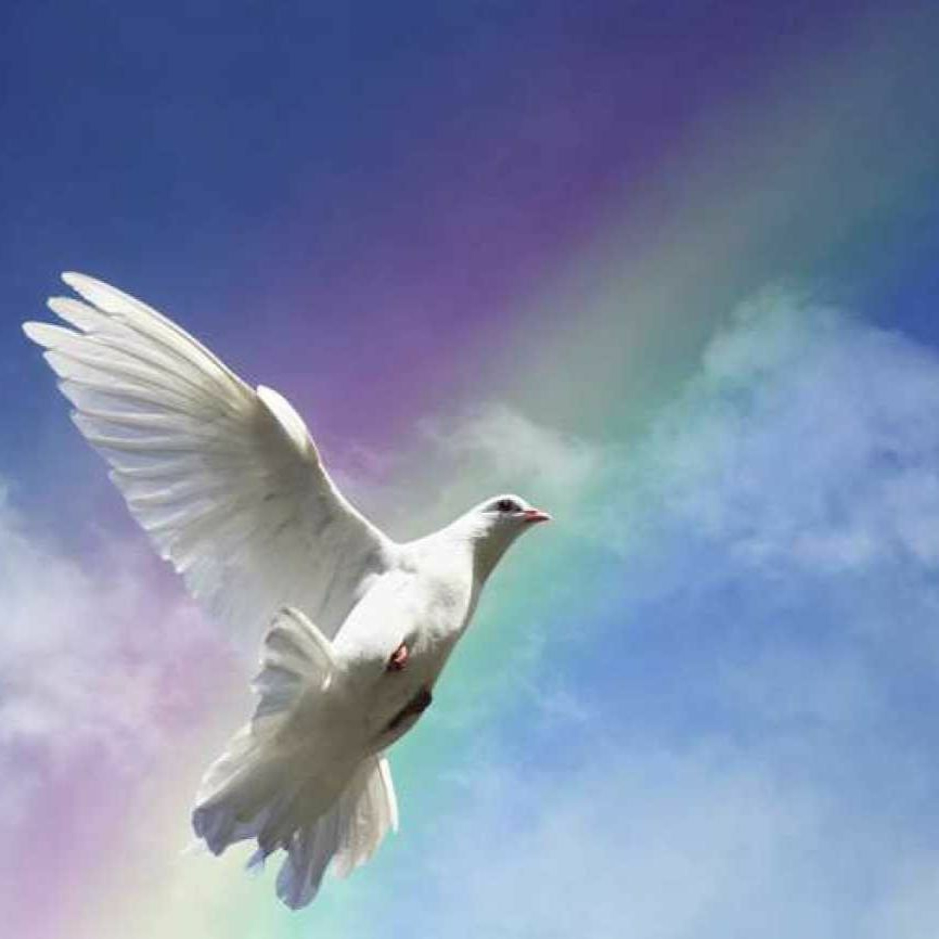 254. NIGHTLIGHT (More Songs and Poems of Faith, Hope and Comfort) episode artwork
