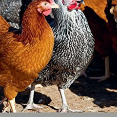 Get KINDLE 📪 Chicken & Eggs: River Cottage Handbook No.11 by  Mark Diacono [KINDLE P