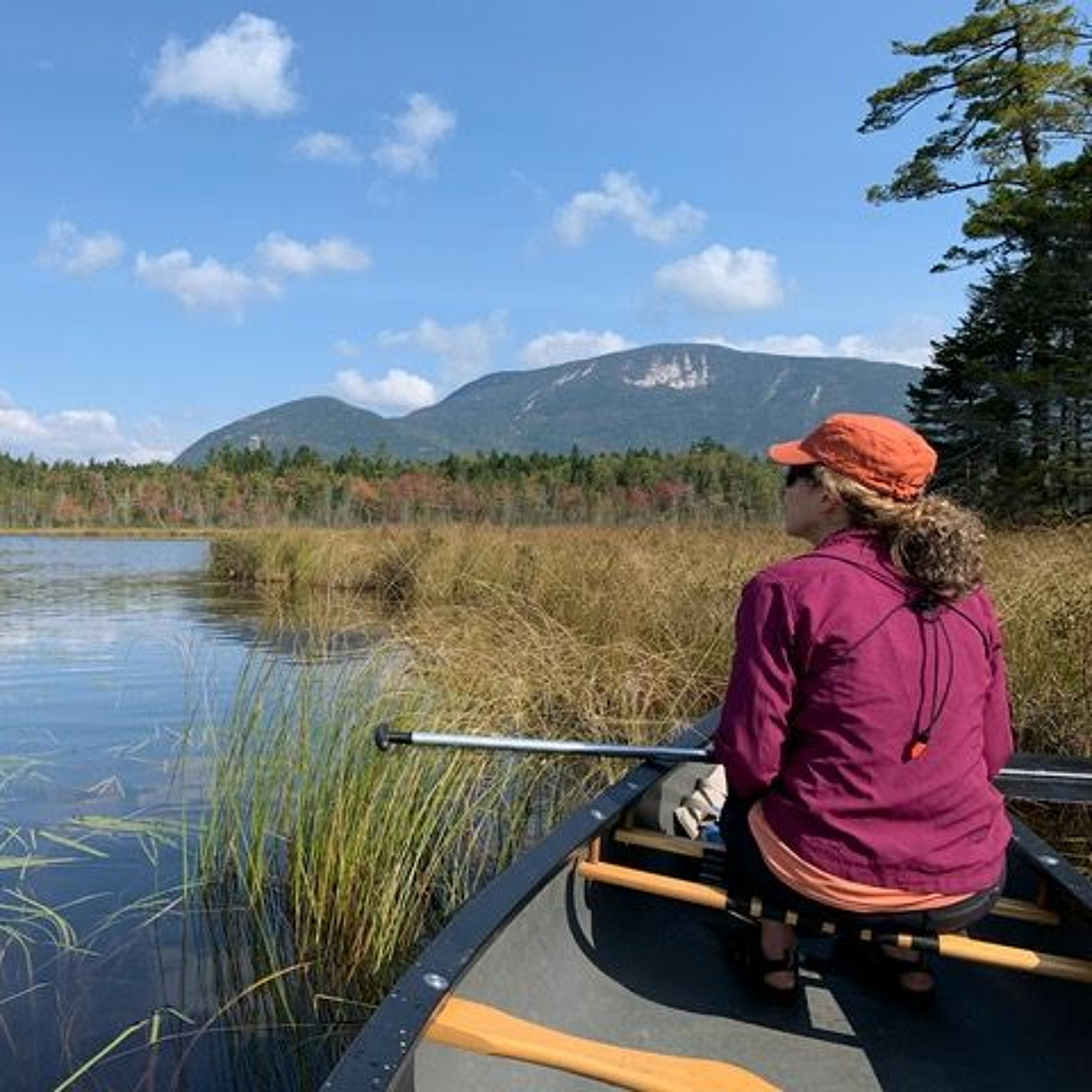 FRIENDS OF BAXTER STATE PARK