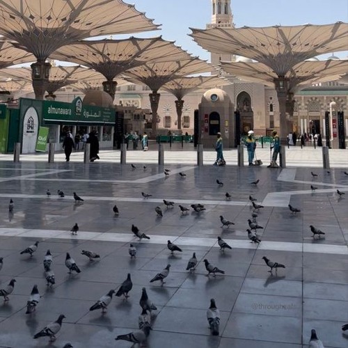 وبشر الصابرين - سورة البقرة - م. باسل محمد مؤنس