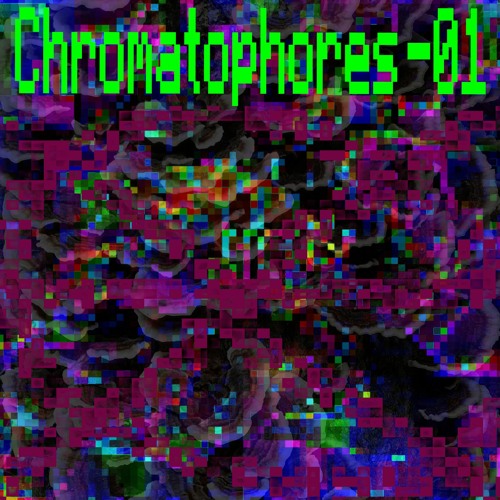 Xenon Chameleon - 05 SpySteppin