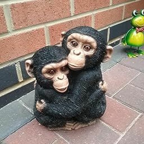 two monkey