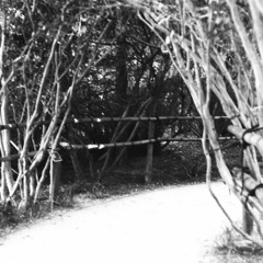 a language unlearned