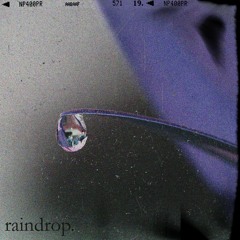 raindrop [sample flip]