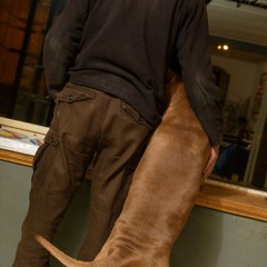 Brother ....by Milco Huisman....