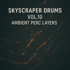 Ambient Perc - Track 08