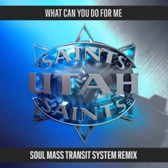 PREVIEW - What Can You Do For Me (Soul Mass Transit System Remix)