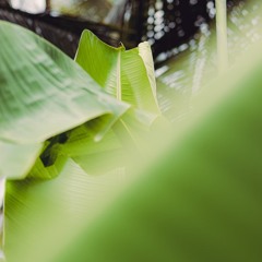 Wednesday Takeover by Gurubay