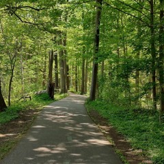 Memory of a different life - Sam feat Sarah