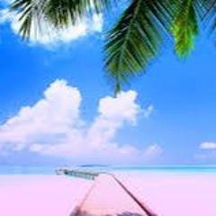 Don't Live On An Island