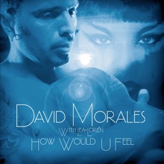 David Morales, Peter Rauhofer - How Would You Feel (Ale Maes Revised)