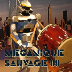 mécanique_sauvage_09