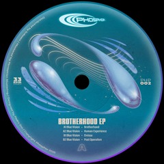 PREMIERE: Blue Vision - Brotherhood [Phosphor]