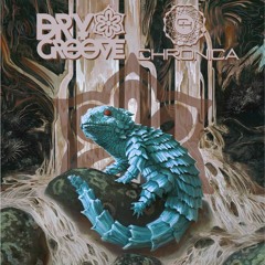 Dry Groove & Chronica - Life After Crash (Original Mix)