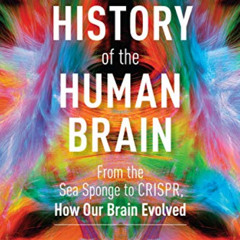 [Read] EPUB 📗 A History of the Human Brain: From the Sea Sponge to CRISPR, How Our B
