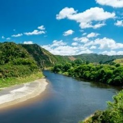 The River