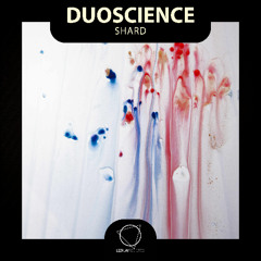 Duoscience - Shard (Lizplay Records)