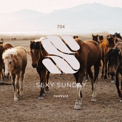 Sexy Sunday Radio Show 704 - PURE IBIZA RADIO