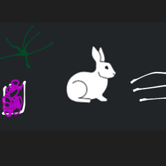 white rabbit  swell solo 《demo》