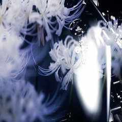 Realized (feat. miso, yuske, wenszy)