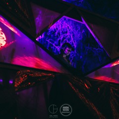 Twilight/Forest set DREAMTIME - Israel