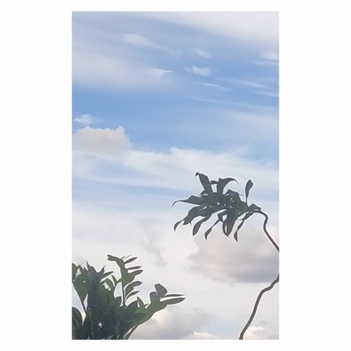 WATCHING CLOUDS