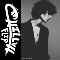 back to friends (CHILLVH Flip)