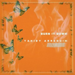 Tahidy Arreguin - Burn It Down