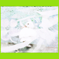 insomnia flight "失眠飛行 " X wantchu by keshi cover