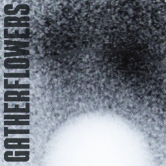 GATHER FLOWERS