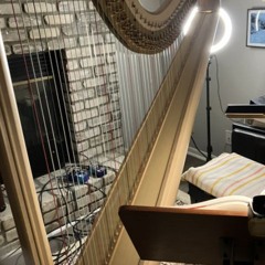 Hey There Delilah / Plain White T's (Harp Practice)