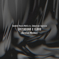Greyhound X Flood (Aurelios Exclusive Patreon Mashup)