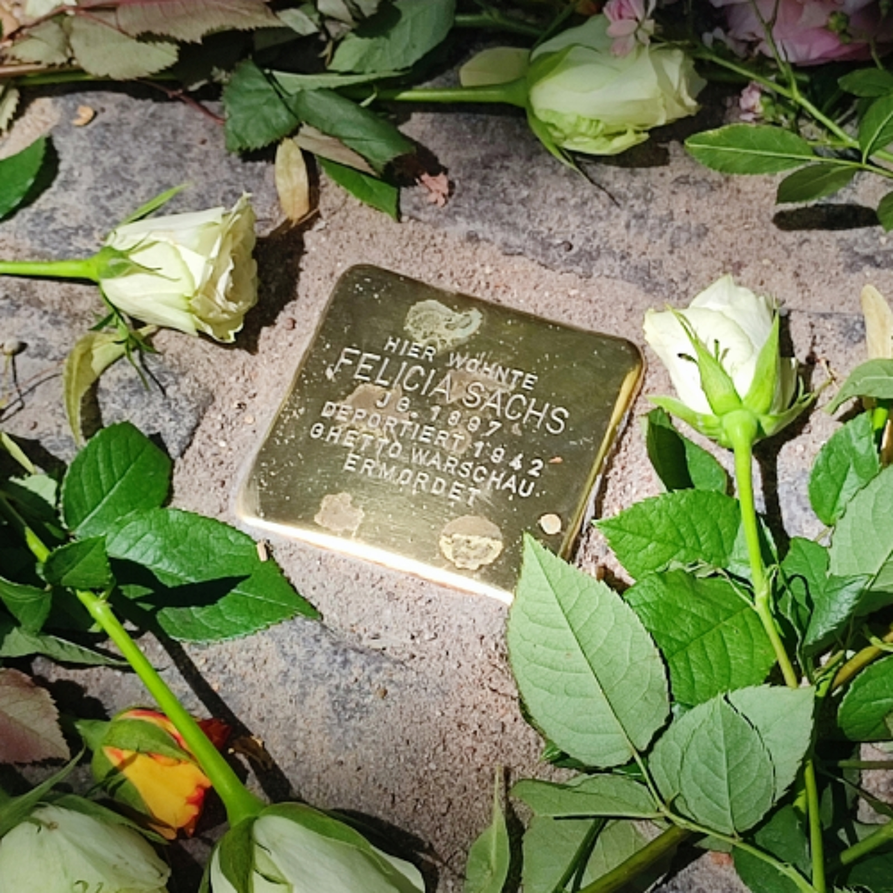Über 900 Stolpersteine erinnern in Magdeburg an NS-Opfer