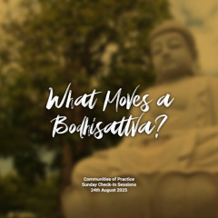 What Moves a Bodhisattva?